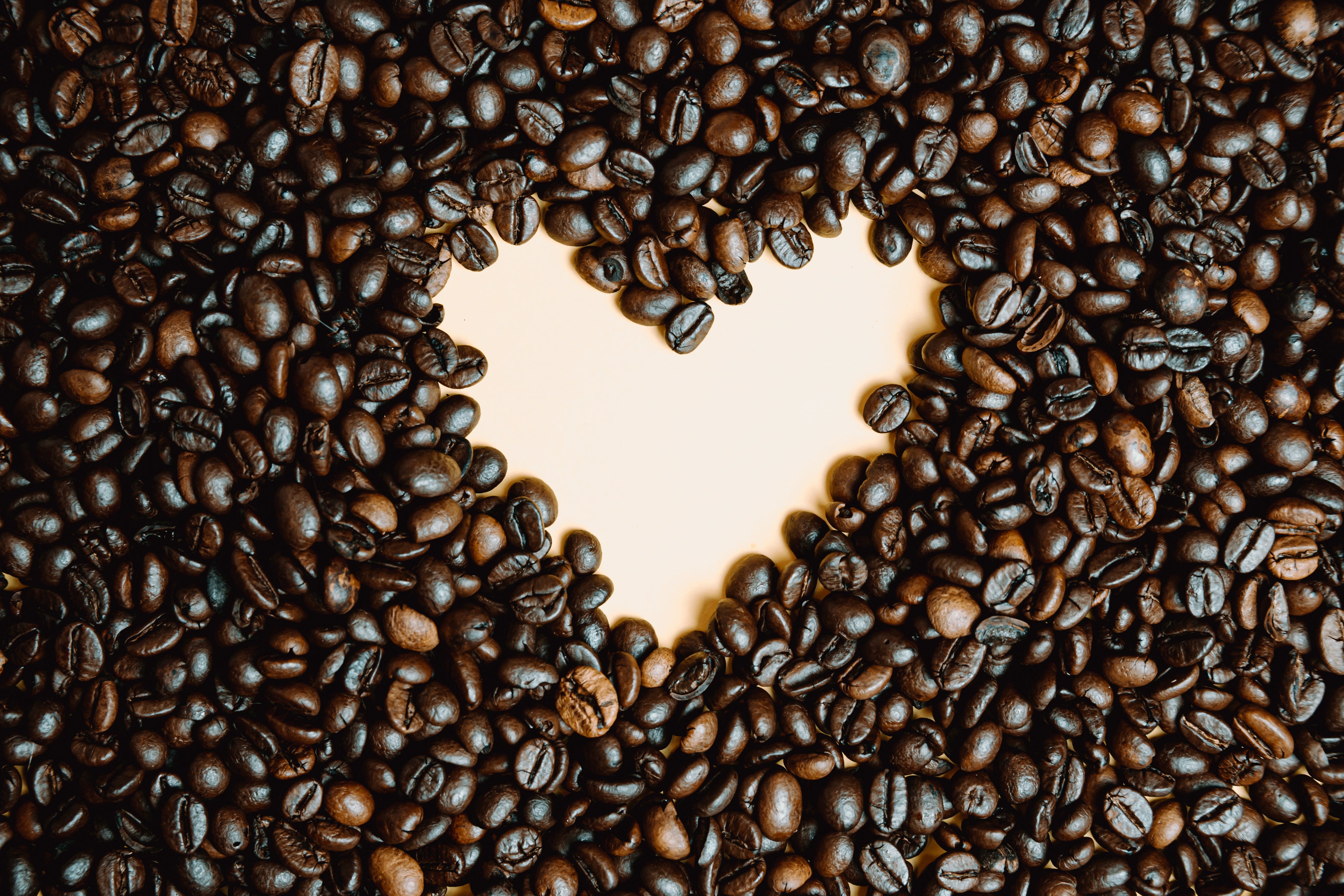 Über CasaCaffe