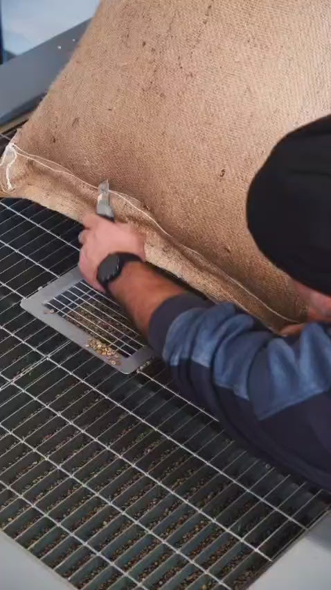Carica il video: 